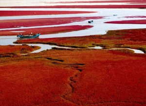 Red-Beach-Panjin-Liaoning-Province