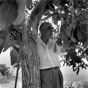 seferis-2