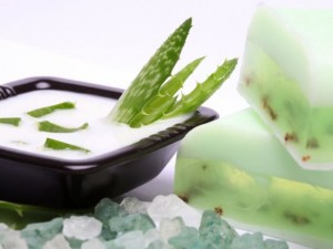 Αλόη-3-300x225