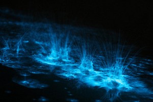 glow1