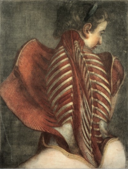 L0019727 Muscles of the back: partial dissection of a seated woman, Credit: Wellcome Library, London. Wellcome Images images@wellcome.ac.uk http://wellcomeimages.org Muscles of the back in a female Mezzotint 1746 By: Gautier Dagotyafter: M. DuverneyPublished: 1745/1746] Copyrighted work available under Creative Commons by-nc 2.0 UK, see http://wellcomeimages.org/indexplus/page/Prices.html