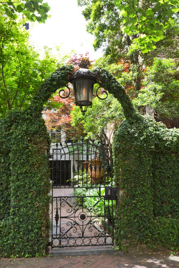 Savannah-2