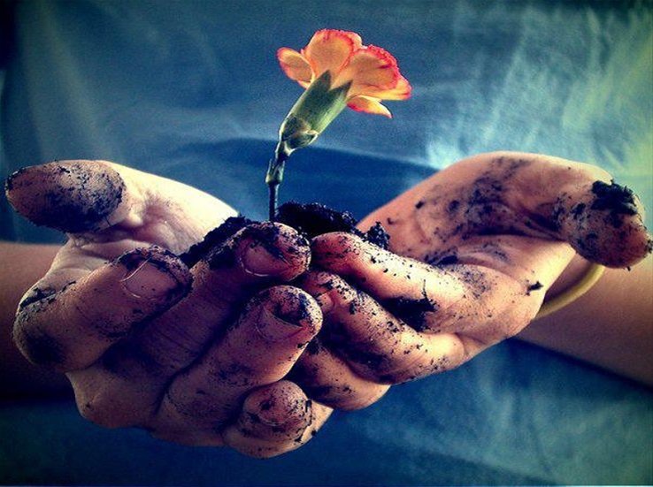 hands-dirt-flower
