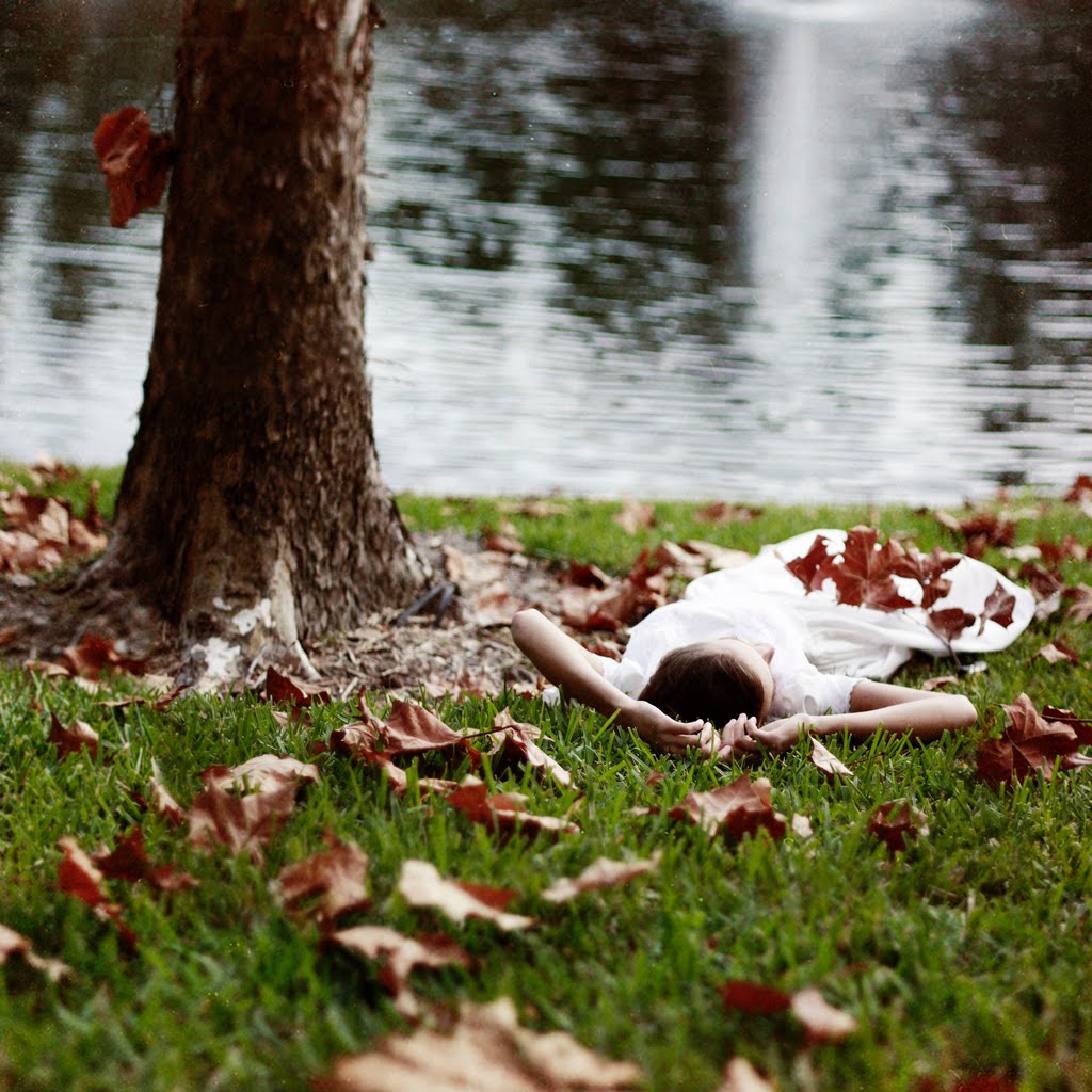 5206380033_cb8b7d54cd_b