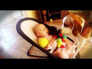 Η έμπρακτη συγγνώμη ενός σκύλου σε ένα μωρό – βίντεο