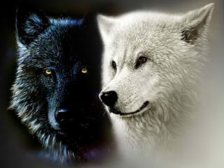 Η μάχη μέσα στην ψυχή μας “Οι δυο λύκοι”