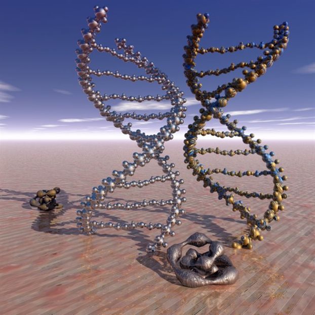 «Εμφύλιος» στο DNA μας!