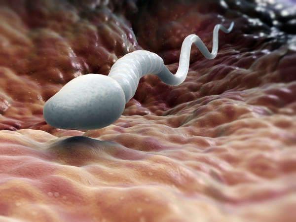 10 πράγματα που “σκοτώνουν” το σπέρμα