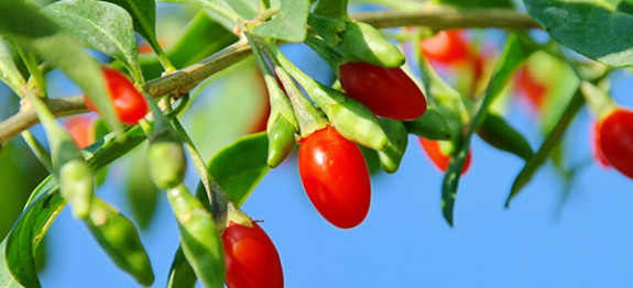 Ξέρεις τι πρέπει να τρως για να ζήσεις πάνω από…100 χρόνια;