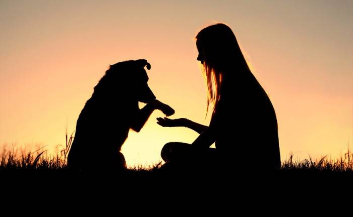 Οι 10 λόγοι που ο σκύλος κάνει τη ζωή μας καλύτερη
