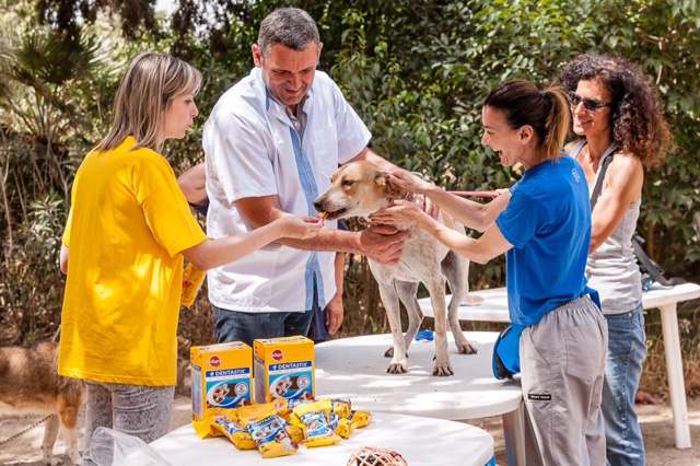 Κτηνίατροι και ιδιοκτήτες σκύλων συμφωνούν:  Η Στοματική Φροντίδα είναι σημαντική!