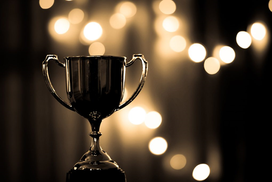 Το Writers Capital Foundation ανακοίνωσε τα βραβεία Panorama Golden Book Awards. Τα βραβεία απονέμονται στις καλύτερες συμμετοχές που έλαβαν κατά τη διάρκεια του διεθνούς φεστιβάλ Λογοτεχνίας Panorama